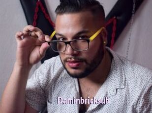 Daminbricksub