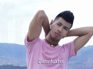 Damnfoxter