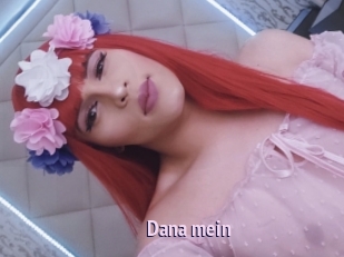 Dana_mein