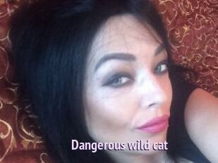Dangerous_wild_cat