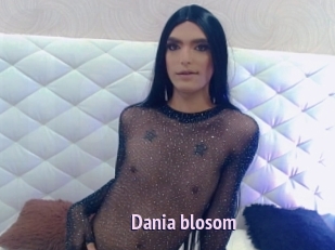 Dania_blosom