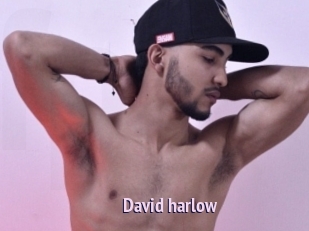 David_harlow