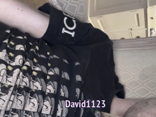 David1123
