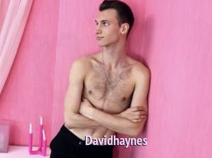 Davidhaynes