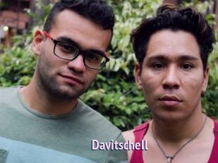 Davitschell