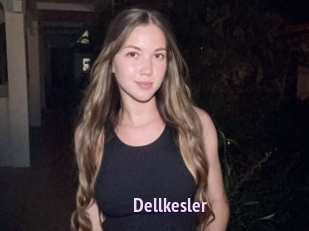 Dellkesler