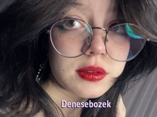 Denesebozek