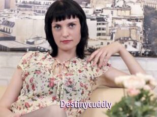 Destinycuddly