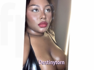 destinytorn Film Porno