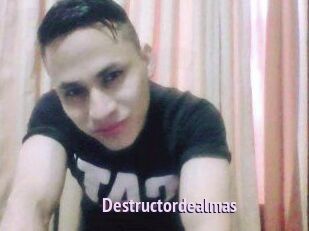 Destructordealmas