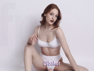Dibaker