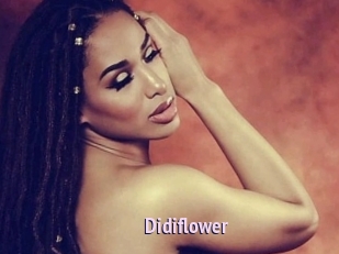 Didiflower