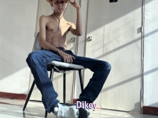 Dikey