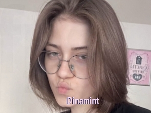 Dinamint