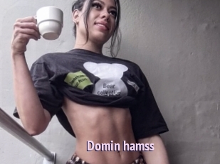 Domin_hamss