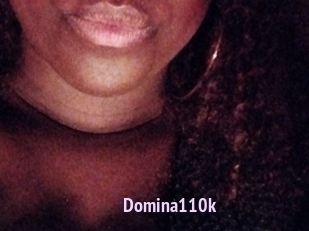 Domina110k