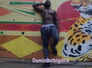 Dominantbigdick