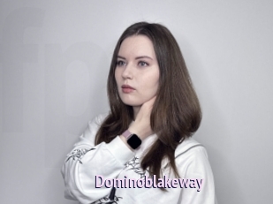 Dominoblakeway
