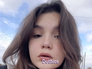 Dothice