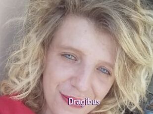 dragibus Film Porno
