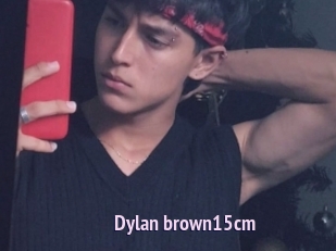 Dylan_brown15cm