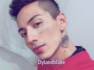 Dylandblake