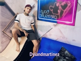 Dylandmartinez