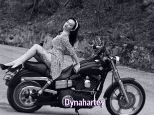 Dynaharley