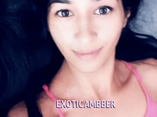 EXOTIC_AMBBER