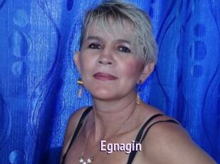 Egnagin