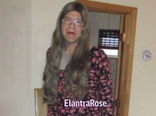 Elantra_Rose
