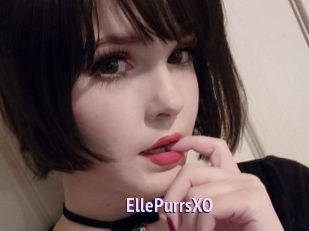 EllePurrsXO