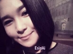 EsinAi