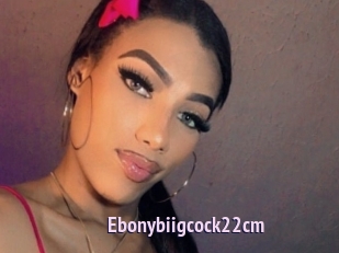 Ebonybiigcock22cm