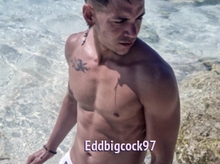 Eddbigcock97