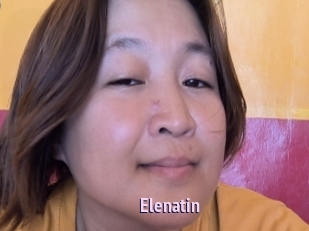 Elenatin