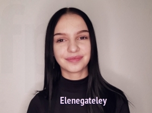 Elenegateley