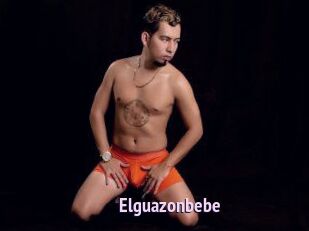 Elguazonbebe