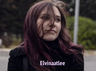 Elvinaatlee