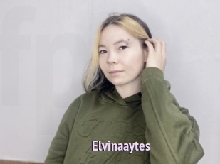 Elvinaaytes
