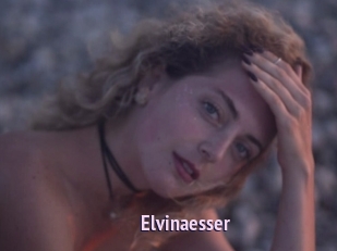 Elvinaesser