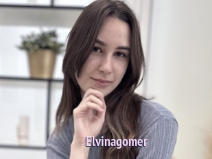 Elvinagomer