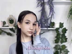 Elvinagrindle