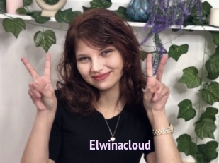 Elwinacloud