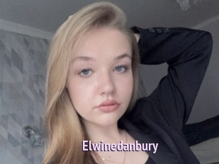 Elwinedanbury
