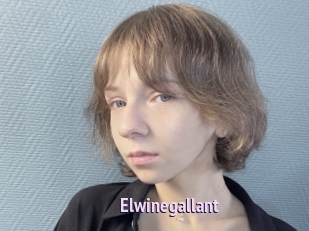 Elwinegallant