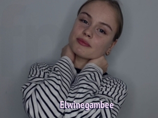 Elwinegambee