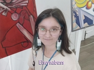Elwynabuss