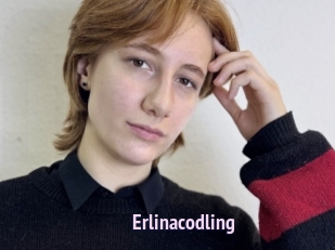 Erlinacodling