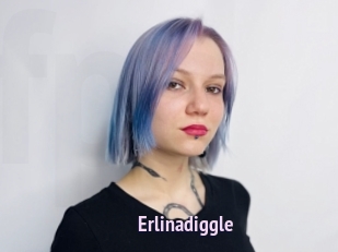 Erlinadiggle